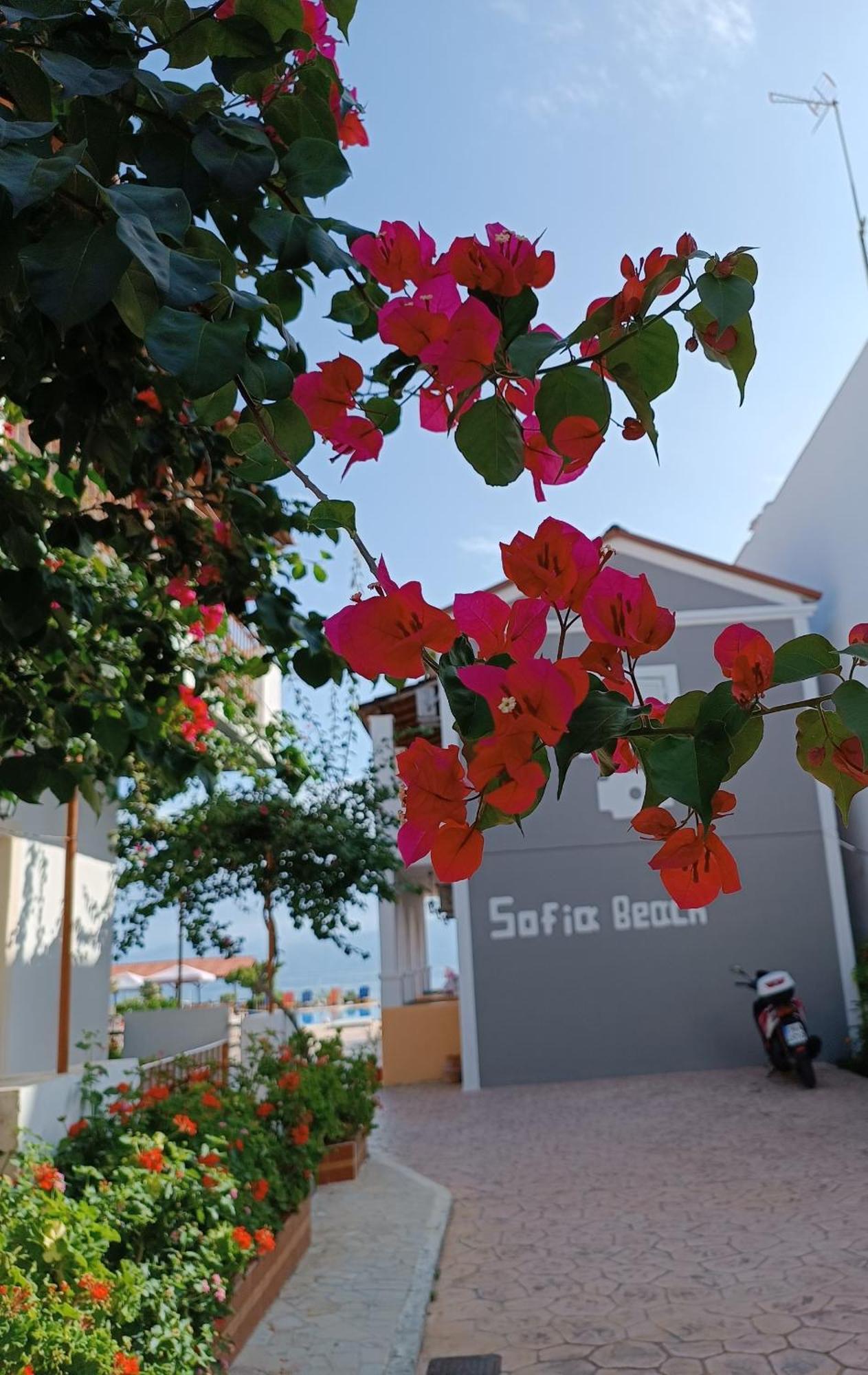 Sofia Beach Apartments Kávos Exterior foto